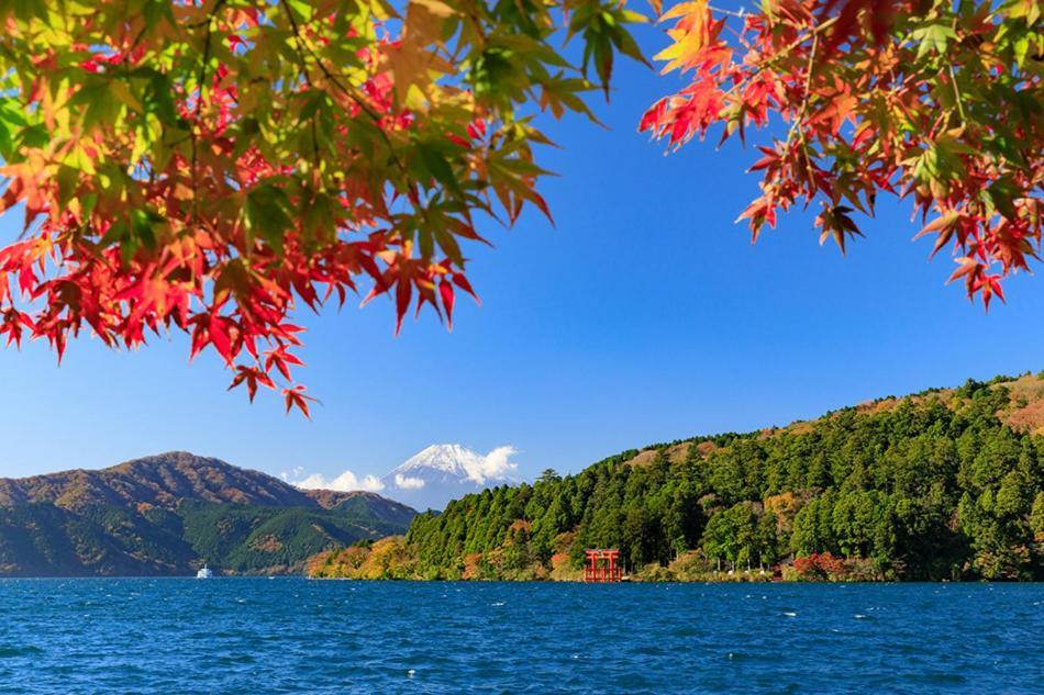 New Open『天然温泉』芦ノ湖畔の完全貸切別荘 Hakone Exterior foto